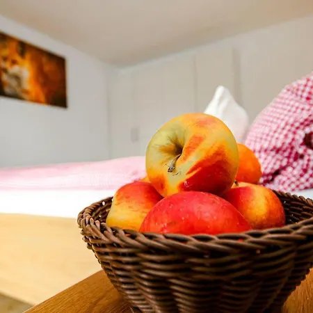 Ferienwohnung-gartenblick-mit-traumhaftem-blick-in-die-natur 奥夫特尔施旺