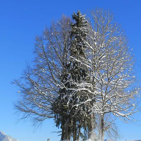 Ferienwohnung-gartenblick-mit-traumhaftem-blick-in-die-natur 公寓 奥夫特尔施旺